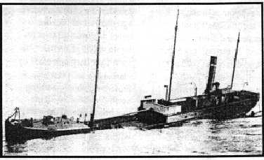 primrose.jpg (12727 Byte)