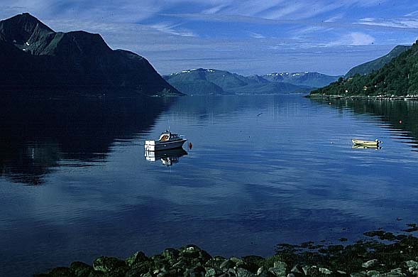 Fjord.JPG (40424 Byte)