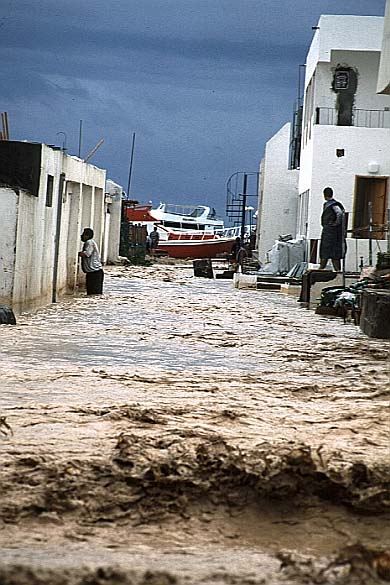 safaga2.JPG (67546 Byte)