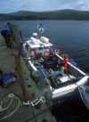 Schiff.jpg (25059 Byte)