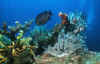 Aquarium.jpg (55867 Byte)