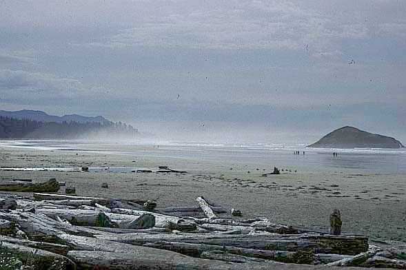 Tofino.JPG (30345 Byte)