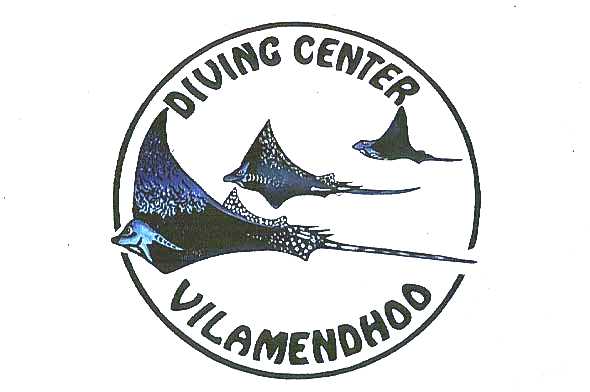 BASIS.JPG (53798 Byte)