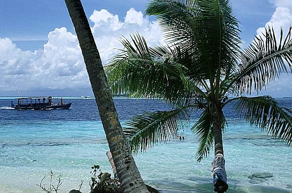 Vilamendhoo.jpg (86663 Byte)