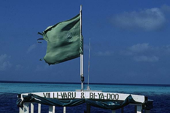 Villivaru.JPG (33525 Byte)